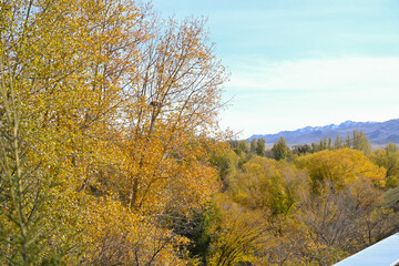 landscape, mountain, sky, nature, mountains, clouds, hill, panorama, cloud, valley, summer, grass, field, forest, Kazakhstan nature, tree, green, hills, lake, countryside, travel, meadow, sunset, rura