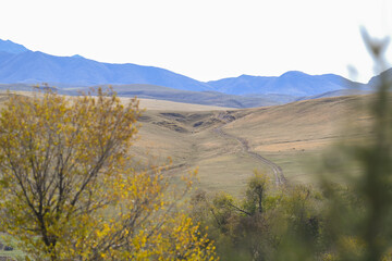 landscape, mountain, sky, nature, mountains, clouds, hill, panorama, cloud, valley, summer, grass, field, forest, Kazakhstan nature, tree, green, hills, lake, countryside, travel, meadow, sunset, rura