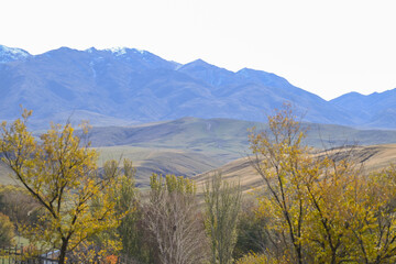 landscape, mountain, sky, nature, mountains, clouds, hill, panorama, cloud, valley, summer, grass, field, forest, Kazakhstan nature, tree, green, hills, lake, countryside, travel, meadow, sunset, rura