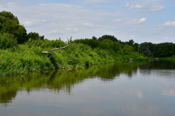 Fototapeta premium View of a massive lake, river, or pond surrounded from all sides with reeds, moss, forests, moors, and other flora spotted on a cloudy yet warm summer day next to some holiday resort located in Poland