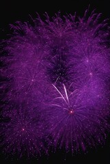 Purple fireworks over black background from Generative AI