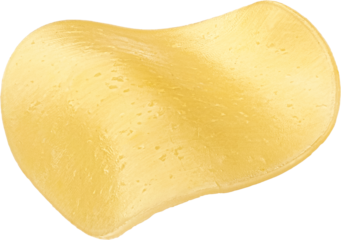 Salami cheese, round gouda slices isolated on white background