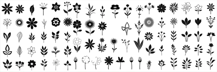 Poster Flower icon set silhouettes, Abstract flower icon © Creative_Design
