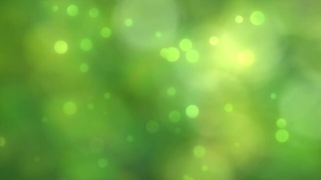 top view of an abstract spring meadow with blooming flowers in sunhine, fresh springtime bokeh light background animation in green yellow colors