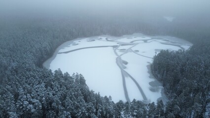 Aerial view of a snowy forest, with dense evergreen trees