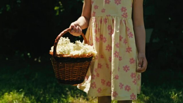 Video of little girl holding elderflower basket.