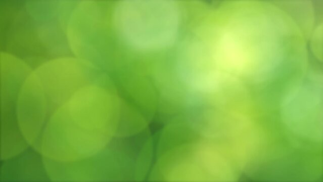 abstrakt sunny spring background with soft bright bokeh light animation in fresh green yellow color gradient, springtime day outdoors backdrop with copy space