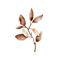 Natural autumn branch of leaves brown, terracotta and beige colors on white background for decorative design. Digital watercolor art