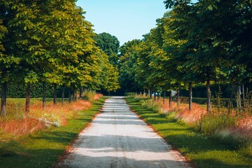 Scenic road in the countryside with an abundance of lush trees bordering the sides.