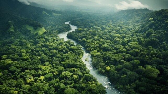 An aerial view of a lush, tropical rainforest canopy with winding rivers and cascading waterfalls, showcasing the pristine beauty of the natural environment, AI generated, background image