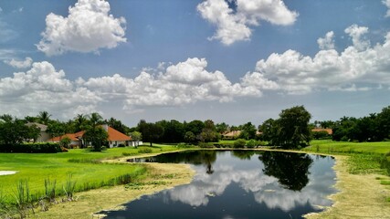 Fototapeta premium Scenic view of a tranquil lake in a green village on a sunny day