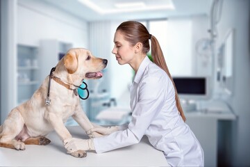Veterinarian doctor with cute domestic dog in Veterinary Clinic, AI generated image