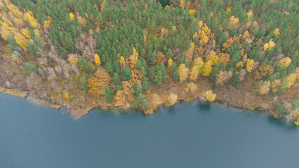 Autumn lake, river around fall color. Drone aerial nature view. Water and forest