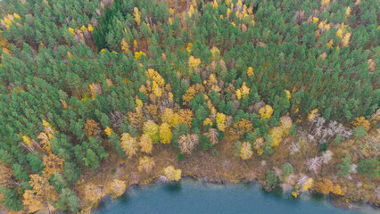 Autumn lake, river around fall color. Drone aerial nature view. Water and forest