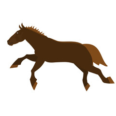 Horse. Pet horse, vector illustration