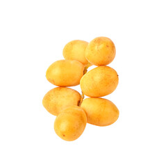 date palm on transparent png