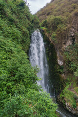 Fototapeta na wymiar Waterfall in the green forest