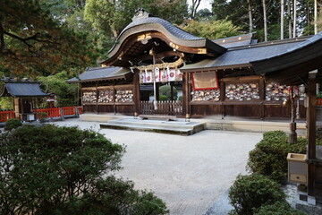 A Japanese shrine : the scene of subordinate shrines and Hon-den Main Hall in the precincts of...