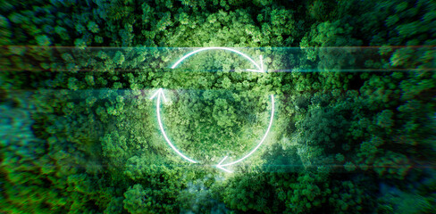 Night jungle atmospherically illuminated by the light of a thin glowing circle-shaped recycling icon. 3d rendering.