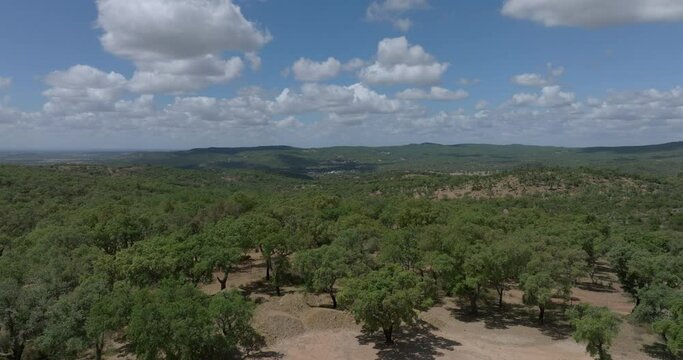 Almendres Cromlech, Evora, Portugal