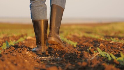 Legs of farmer in rubber boots checking young sprouts walking across field - obrazy, fototapety, plakaty
