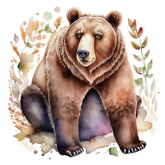 Namalowany niedźwiedź brunatny ilustracja - obrazy, fototapety, plakaty