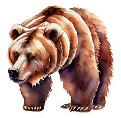 Namalowany niedźwiedź brunatny ilustracja - obrazy, fototapety, plakaty