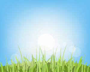 Green grass landscape with sunlight and blue sky background , template nature background, vector