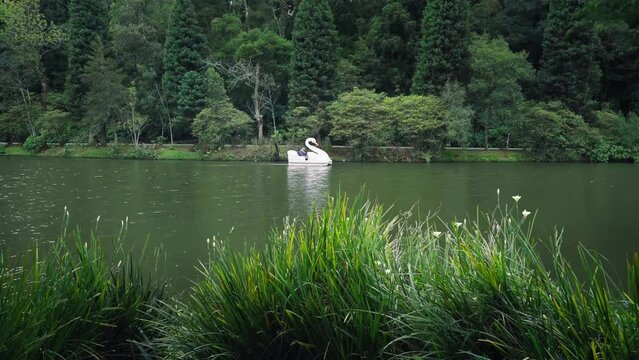 Lago Negro (Black Lake) with Swan Pedal Boat - Gramado, Rio Grande do Sul, Brazil