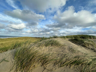 Landscape view of sand dune on the North sea coast at the island Texel