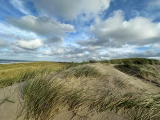 Photo sur Aluminium Mer du Nord, Pays-Bas Landscape view of sand dune on the North sea coast at the island Texel