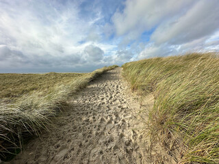 Landscape view of sand dune on the North sea coast at the island Texel