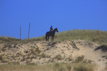 Rider stands with his horse on top of a dune