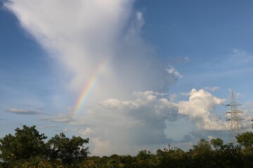 A rainbow is seen above trees in the sky on a sunny day