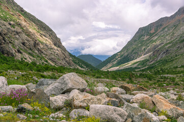 Panorama of a gorge in a mountainous area. Granite stones in the mountains.  Landscape in summer with views of mountains, clouds and flowers. Hiking in the mountains. A trip to the mountains.