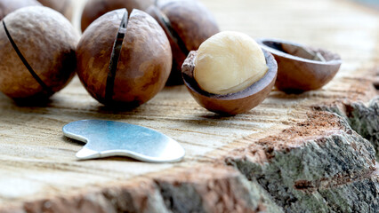 macadamia nuts, a healthy eating concept