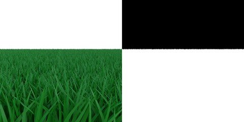 3D rendering illustration of a grass field