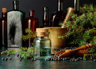 Obraz na płótnie Canvas Juniper tincture with seeds and branches.