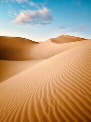 Fototapeta na wymiar a sandy dune with the desert at the edge of it