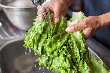 Photograph of hands washing lettuce leaves in a common laundry room. Food and health concept.