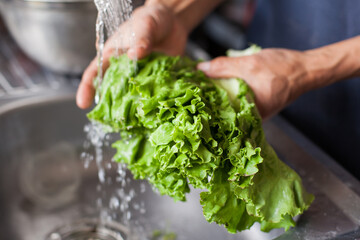 Photograph of hands washing lettuce leaves in a common laundry room. Food and health concept. - obrazy, fototapety, plakaty