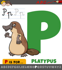 letter P from alphabet with cartoon platypus animal character