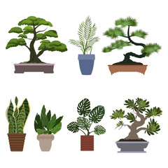 Set of house plants in pots, bonsai tree, monstera, fern, snake plant. Vector illustration.	
