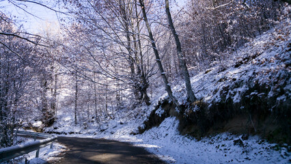 Fairy tale road through the frozen forest from the mountains. Asphalt cleared of snow in the winter season