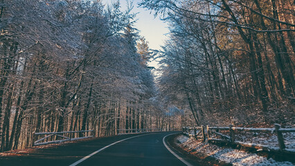 Fairy tale road through the frozen forest from the mountains. Asphalt cleared of snow in the winter...