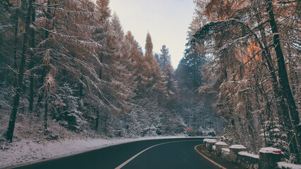 Fairy tale road through the frozen forest from the mountains. Asphalt cleared of snow in the winter...