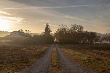 A rural road, with a grassy field and a few trees in the background