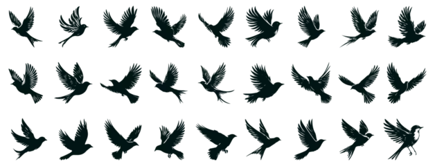 Fotobehang birds silhouette, A flock of flying birds. Vector illustration, a flock of birds. set of birds, birds in flight On transparent background (png), easy for decorating projects. © AD STOR