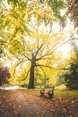 Autumn colours in Citadel park in Ghent, Flanders region, Belgium. Belgian landscape in November. Red-orange-yellow leaves. Romantic and idyllic scenery