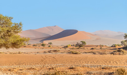 Fototapeta na wymiar A view of sand dunes on the trail to the dead valley in Sossusvlei, Namibia in the dry season